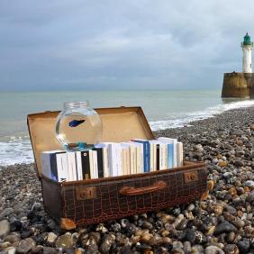 Image d'illustration 