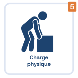 Charge physique