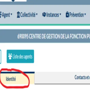 Rubrique Identité de la collectivité