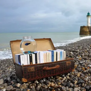 Image d'illustration 