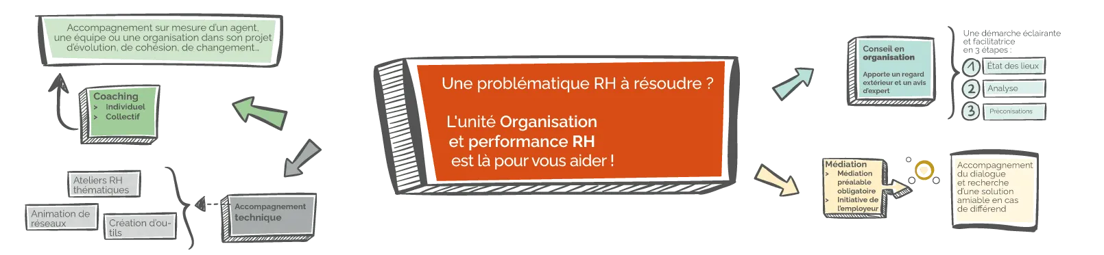 Schéma de l'unité Organisation et performance RH